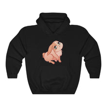 Load image into Gallery viewer, Fabulous Rabbit - Unisex Heavy Hooded Sweatshirt